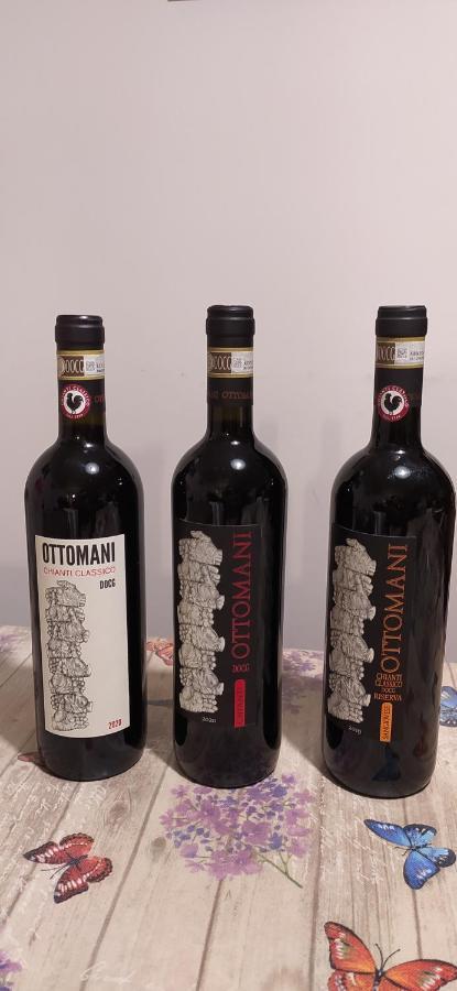 Appartamento Sezzate 40 Strada in Chianti Екстер'єр фото