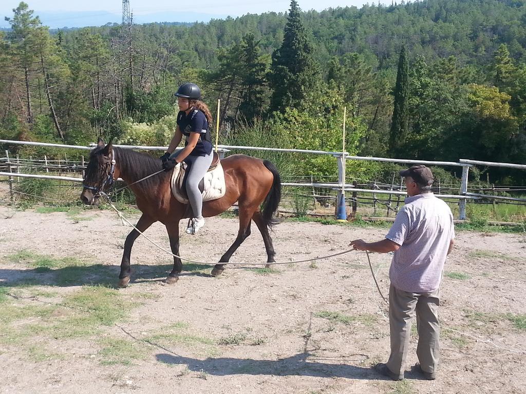 Appartamento Sezzate 40 Strada in Chianti Номер фото